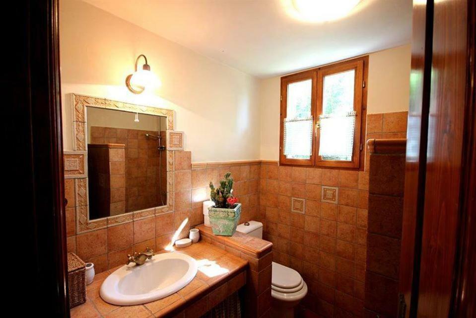Villa Violica, Karnevali Žminj エクステリア 写真